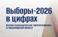 Выборы-2026: регистрация кандидатов в Новосибирской области продолжается