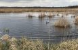 Наступает сезон охоты: правила и предосторожности