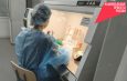 Дети без аномалий могут рождаться в Новосибирской области