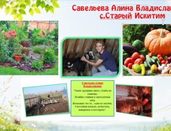 Лучшие хозяюшки сибирской усадьбы определены